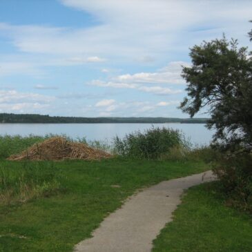 Über den Optimismus