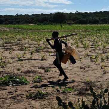 Bedenkenswert: was die UNO zum Wassernotstand verschweigt ist aufschlussreicher als was sie als Lösungen vorgibt
